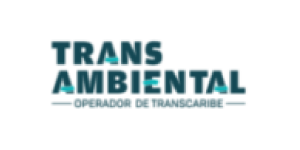 transambiental