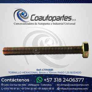 TORNILLO HEXAGONAL 8mm x 70mm PASO 1,25 B/IZADO
