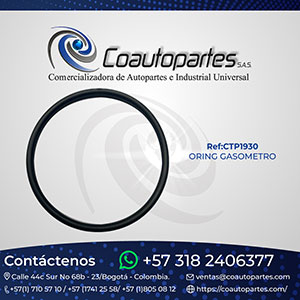 ORING GASOMETRO