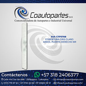 COBERTURA GRIS CLARO ARBOL PUERTA DERECHO BRT