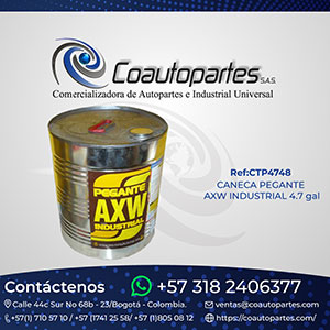 PEGANTE INDUSTRIAL AXW CANECA 4,5 Gal