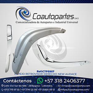 ESPEJO RETROVISOR DERECHO NEW AUDACE