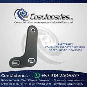 CONJUNTO SOPORTE CINTURON DE SEGURIDAD IDEALE 800