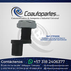 TORNILLO EXCENTRICO ESTABILIZADOR INFERIOR