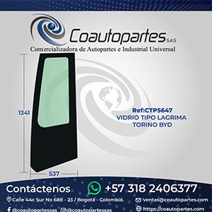 VIDRIO TIPO LAGRIMA TORINO BYD