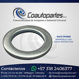 ARANDELA LISA GOMA 20X13X2 FNA