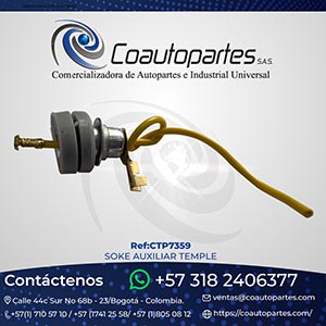 SOKE AUXILIAR TEMPLE