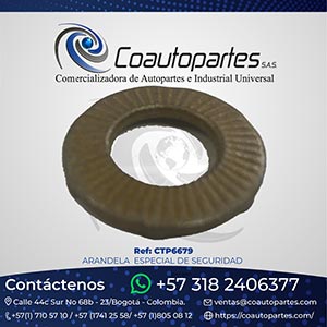 ARANDELA ESPECIAL DE SEGURIDAD