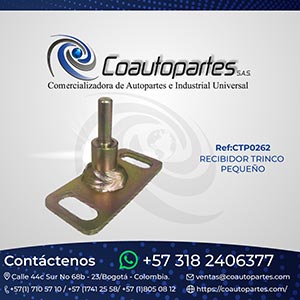 RECIBIDOR TRINCO PEQUEÑO