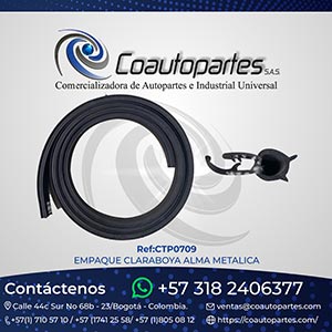 EMPAQUE CLARABOYA ALMA METALICA 06301/5078C