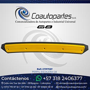 PERFIL ESCALERA G8 11385071