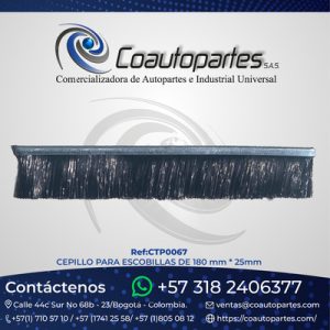 CTP0067