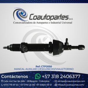 MANCAL AUXILIAR C/ESGUINCHO/VIALE/TORINO 8673 50350101