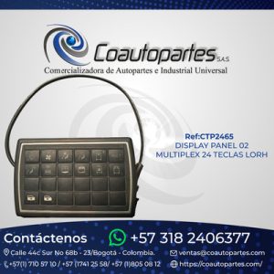 DISPLAY PANEL 02 MULTIPLEX 24 TECLAS LORH BRT ARTICULADO 10748441 LH7.3.0385