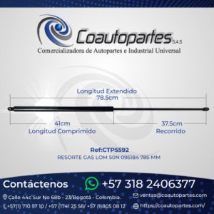 RESORTE GAS LOM 50N 095184 785 MM API0010211