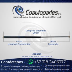 PISTON PORTHINOLA TRASERA G6 CYC0070 33065006