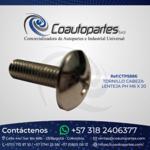 TORNILLO CABEZA LENTEJA PH M6 X 20 (LUJO PARAGUA)