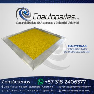 CONJUNTO TAPA DE INSPECCION BRT 11334629